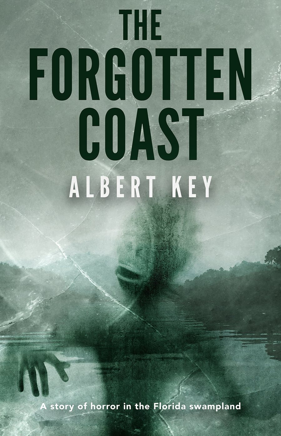 The Forgotten Coast cover